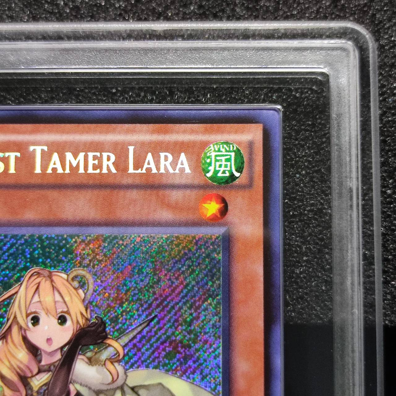 Ritual Beast Tamer Lara & Spiritual Beast Apelio : r/yugiohconceptart